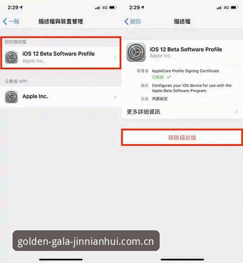 金年会APP更新iOS版 iOS版金年会APP更新实战经验:从下载到安装,新手也能轻松搞定